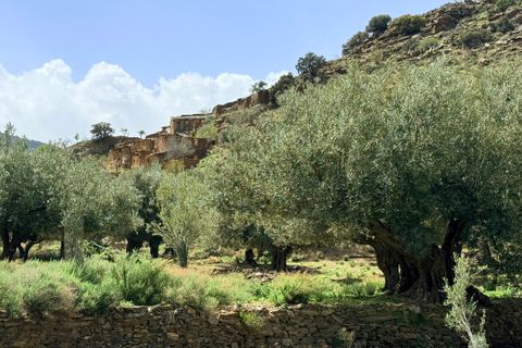 Finca i Tices, Almeria, Tices - € 8.000.000 | Ref: GVCFNSC - foto 38